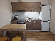 Pronjem apartmnu 1+kk s ter., Lipno nad Vltavou