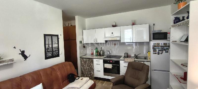 Pronájem bytu 1+kk 25 m2, Gagarinova Slaný - foto 1 z 7